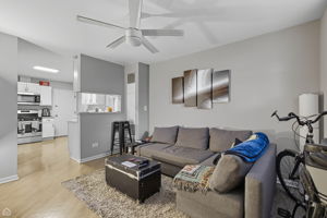 1036 N Honore St - Karen Ranquist_CHP2025_017