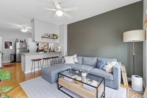 1036 N Honore St - Karen Ranquist_CHP2025_025