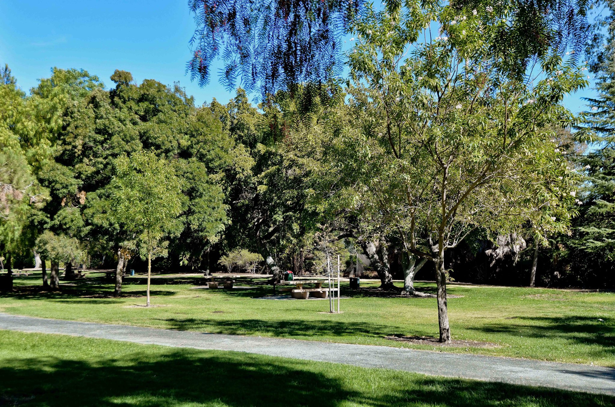 1036 Oak Grove Rd 27, Concord, CA 94518, US Photo 21