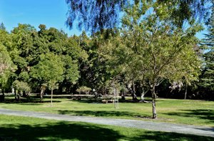1036 Oak Grove Rd 27, Concord, CA 94518, US Photo 20