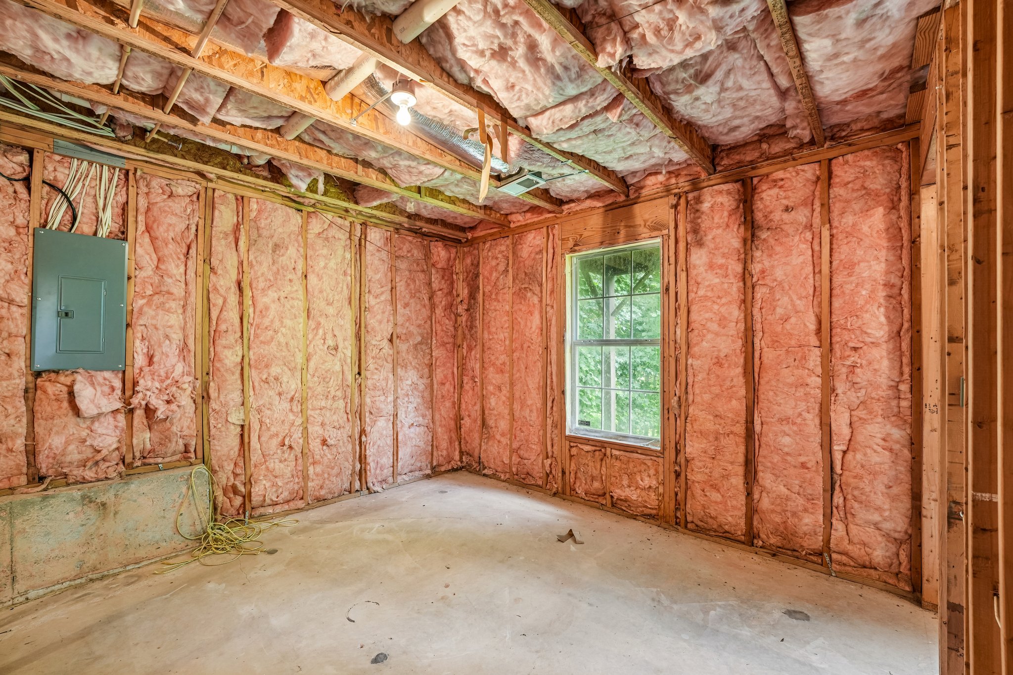 Pepper Cir-S2207-034.jpg