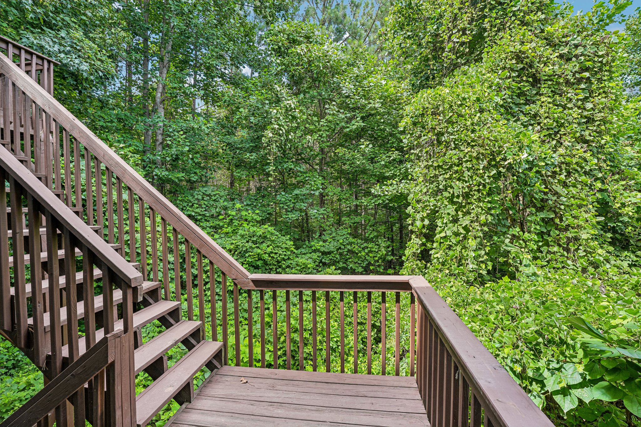 Pepper Cir-S2207-038.jpg