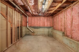 Pepper Cir-S2207-033.jpg