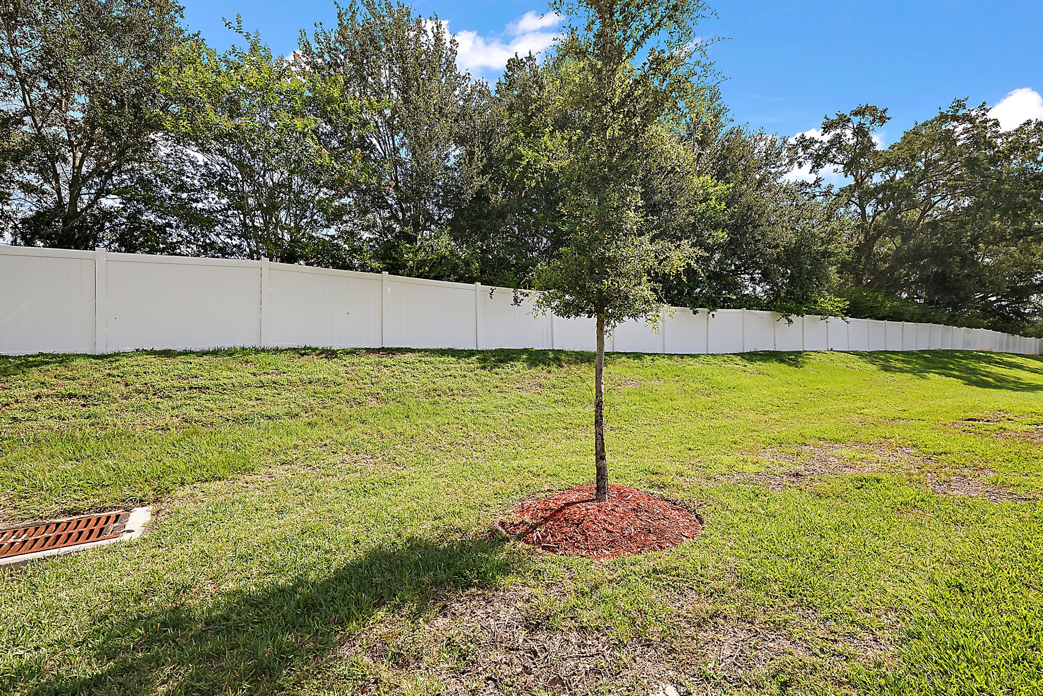 Rear Privacy Fencing