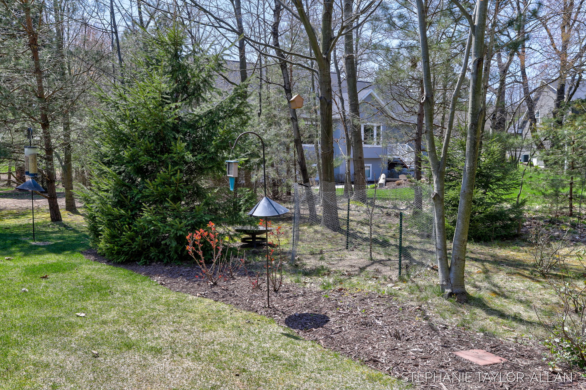 10369 Birdseye Ct, West Olive-17