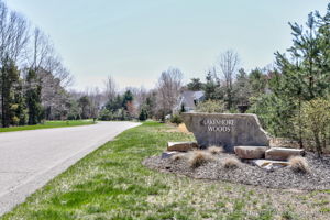 10369 Birdseye Ct, West Olive-18