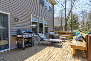 10369 Birdseye Ct, West Olive-13