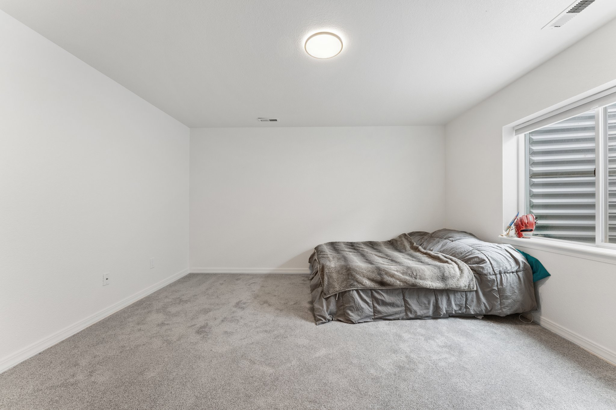 Basement Bedroom #5 with Oversized Walk-in Closet