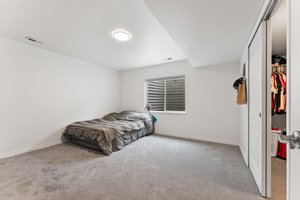 Basement Bedroom #5 with Oversized Walk-in Closet