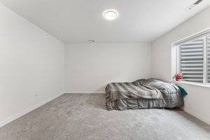 Basement Bedroom #5 with Oversized Walk-in Closet