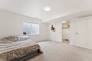Basement Bedroom #5 with Oversized Walk-in Closet