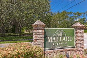 Mallard Cove
