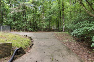  Photo 45
