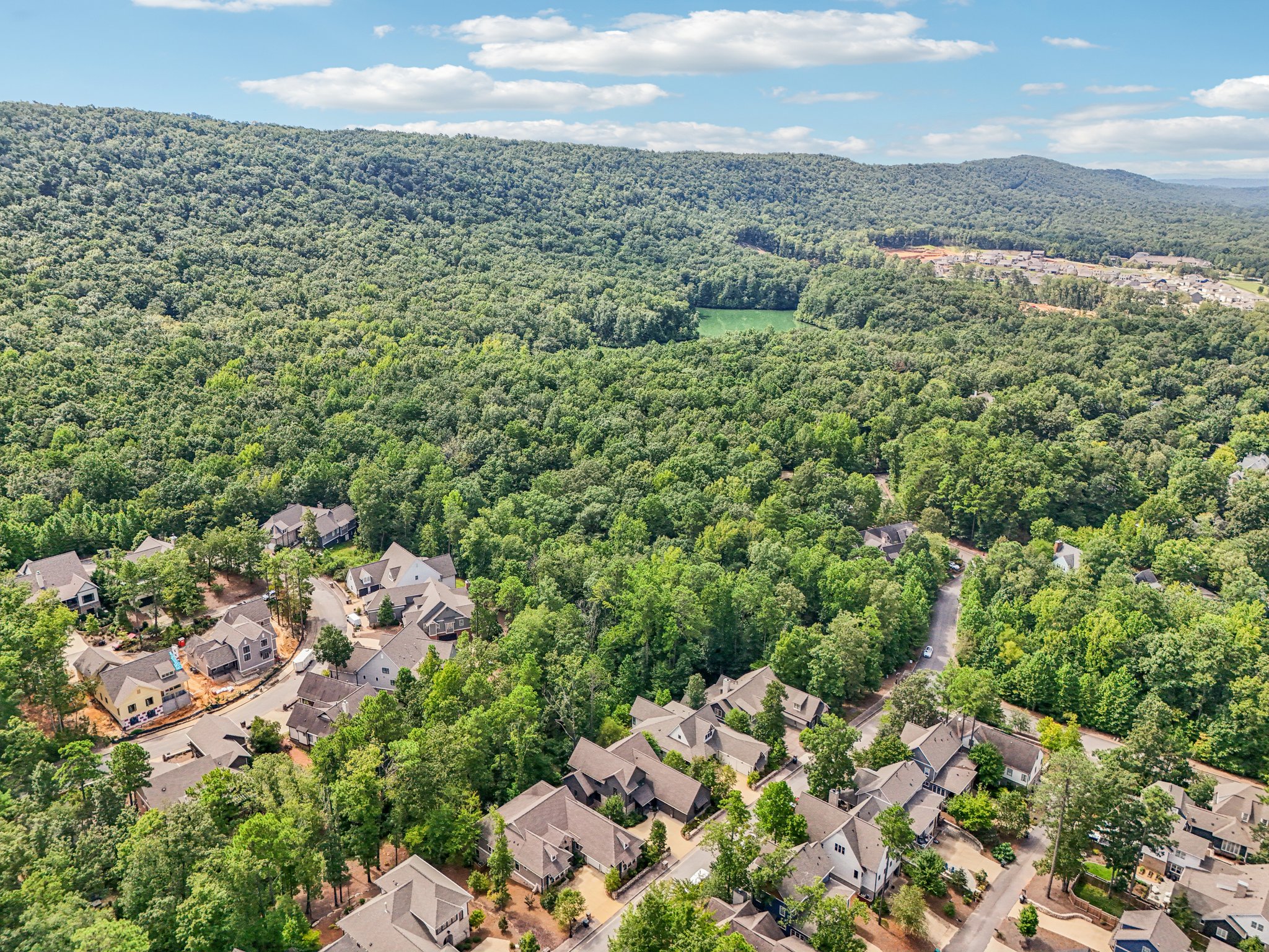 Burnham St-S2008-077.jpg