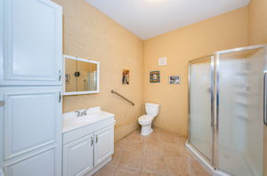 Lower Level Guest Bathroom