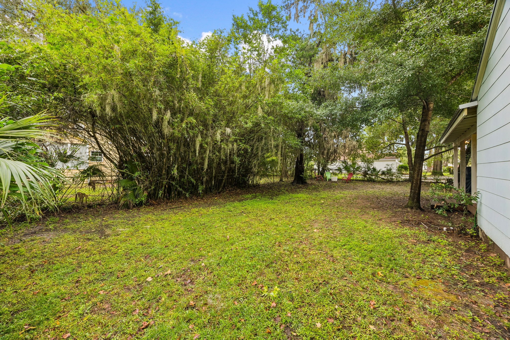 Backyard