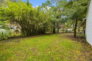 Backyard