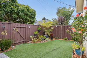  Photo 46
