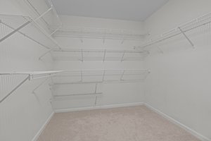  Photo 35