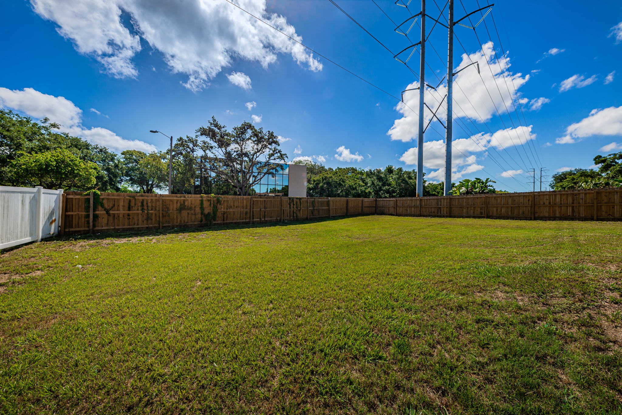 Backyard2