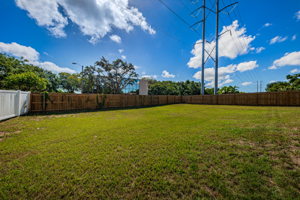 Backyard2