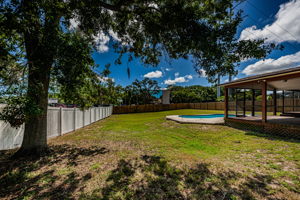 Backyard1