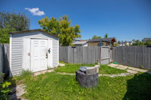  Photo 43