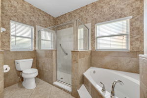 Master Tub and Shower