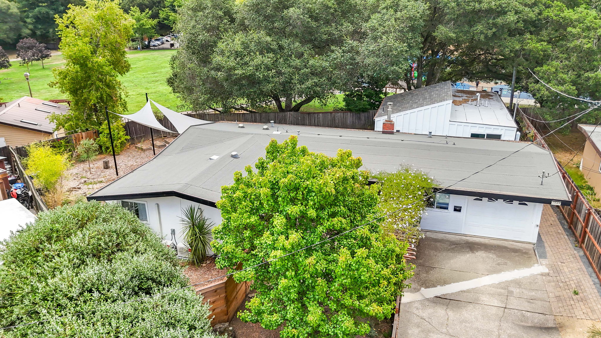  Photo 57