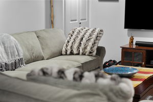  Photo 43