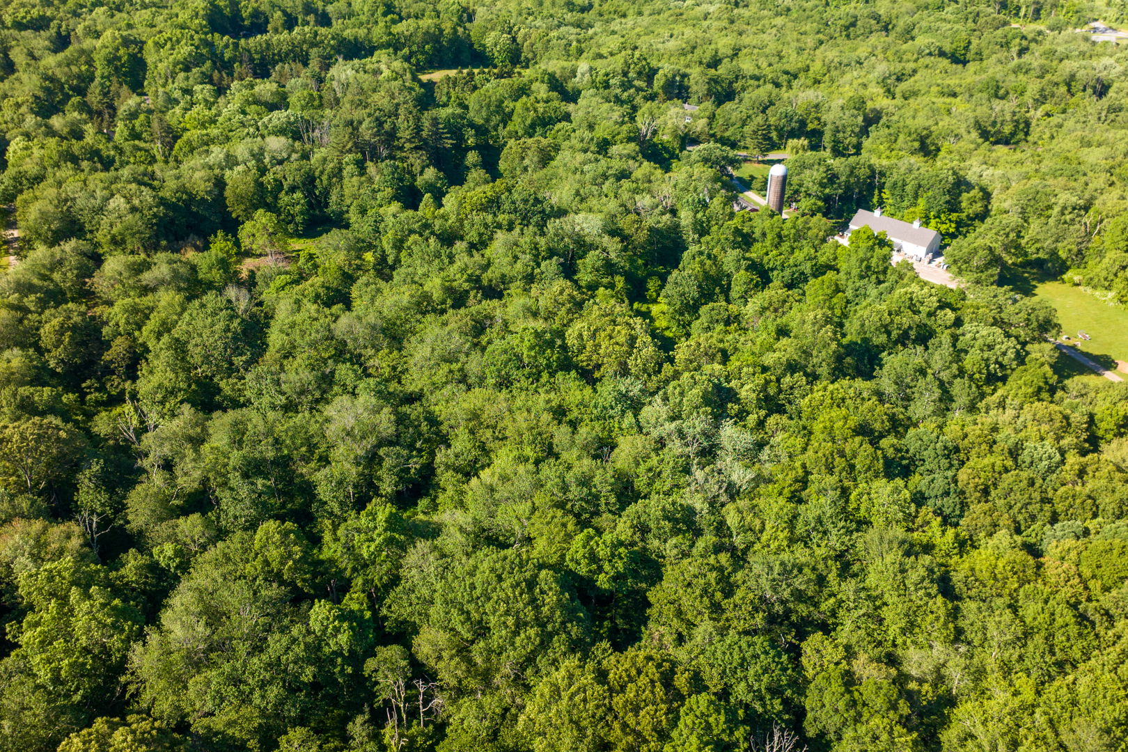 Photo 142