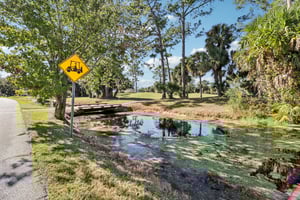 Shearwater Way-S1211-010.jpg