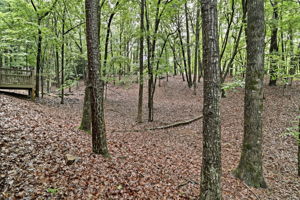  Photo 39