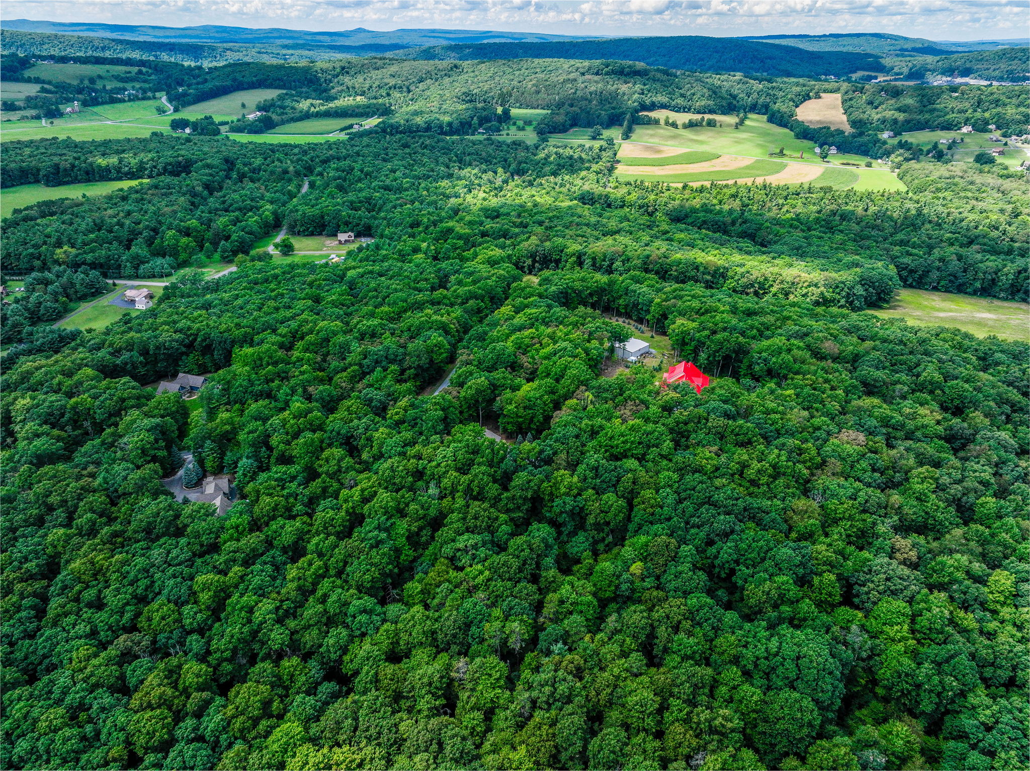 140 Tenderfoot Rd Photo 56