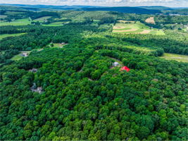 140 Tenderfoot Rd Photo 55
