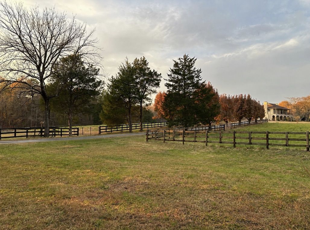 Driveway Picture Taken Last Autumn