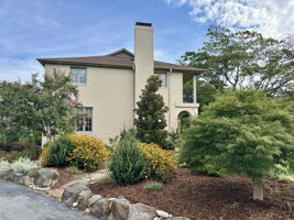 Side View/Landscaping