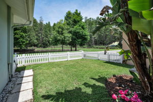 Fenced Backyard4