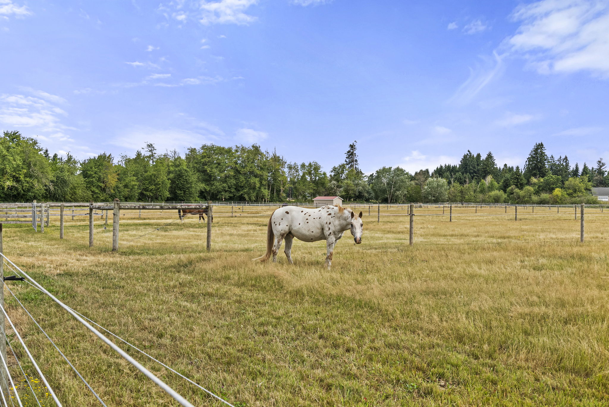 The back deck offers panoramic views of the ranch and surrounding landscape