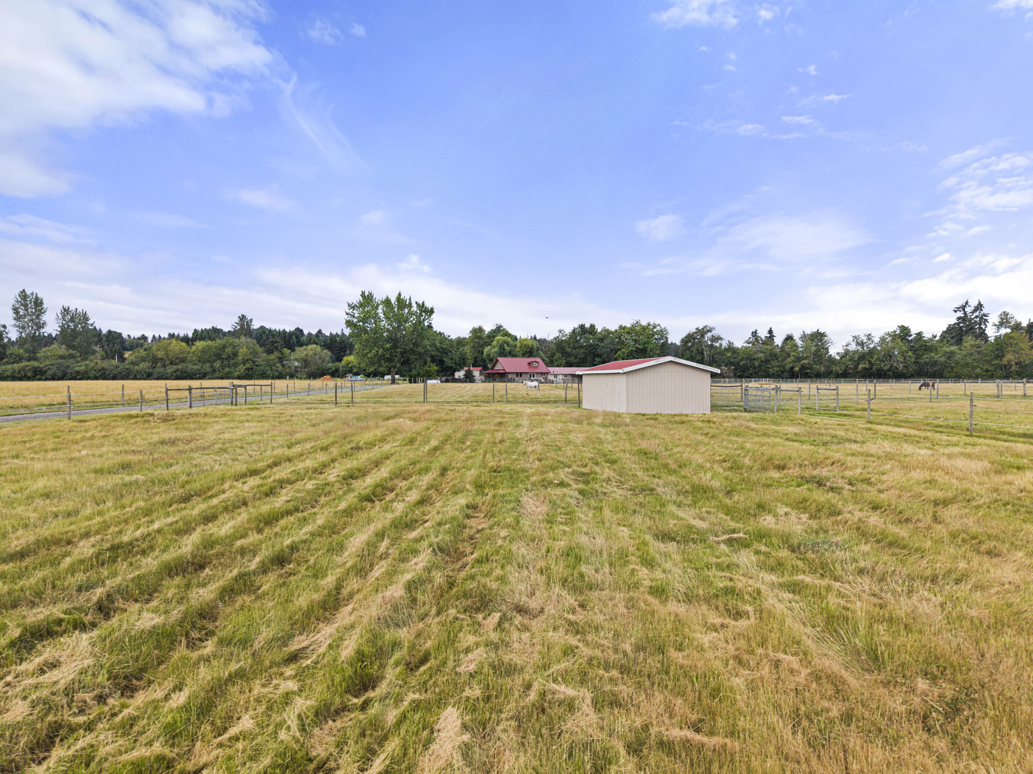 Producing pastures create for great feeding and rotation