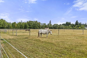 The back deck offers panoramic views of the ranch and surrounding landscape