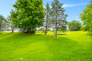  Photo 50
