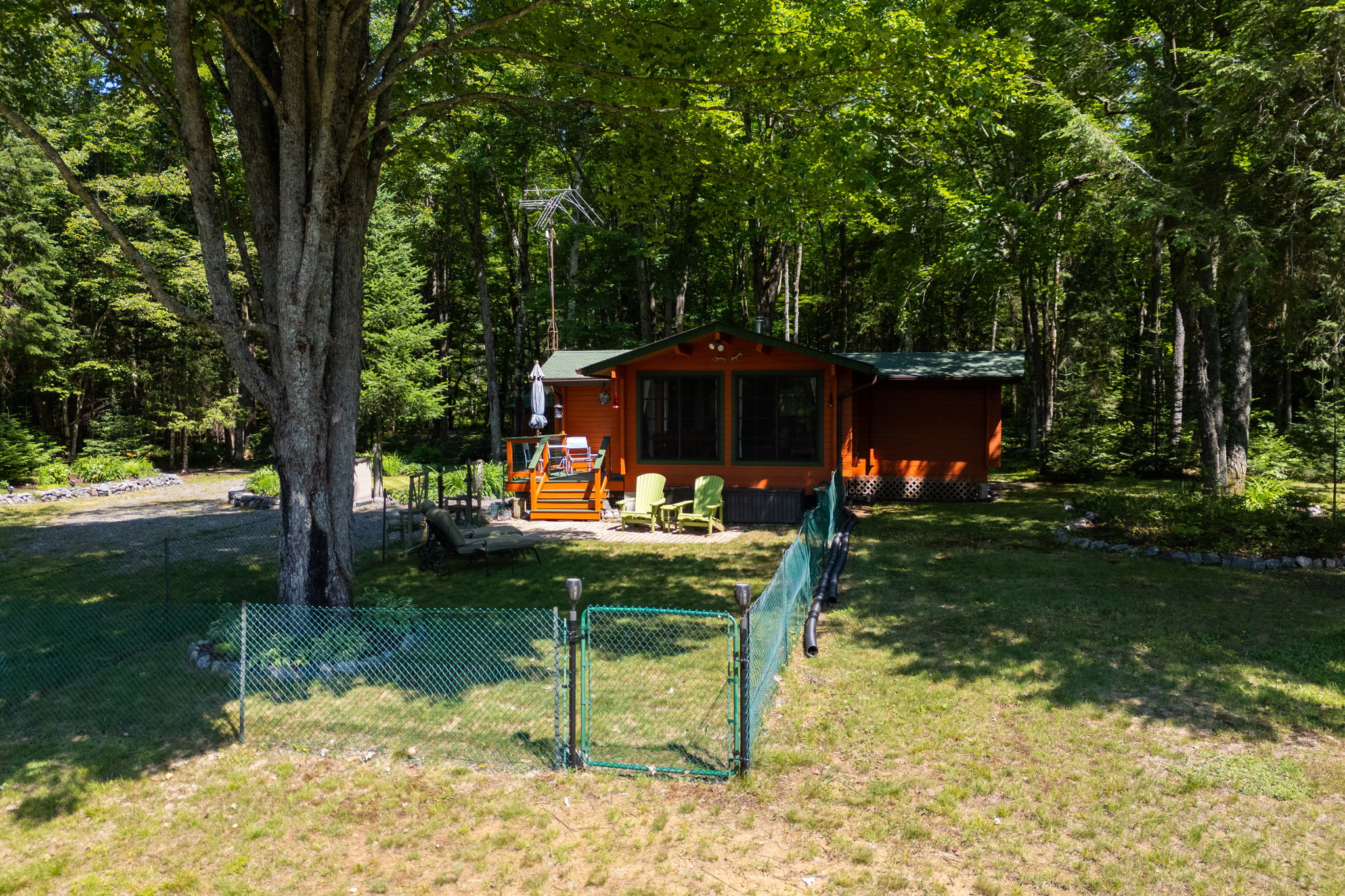  Photo 12