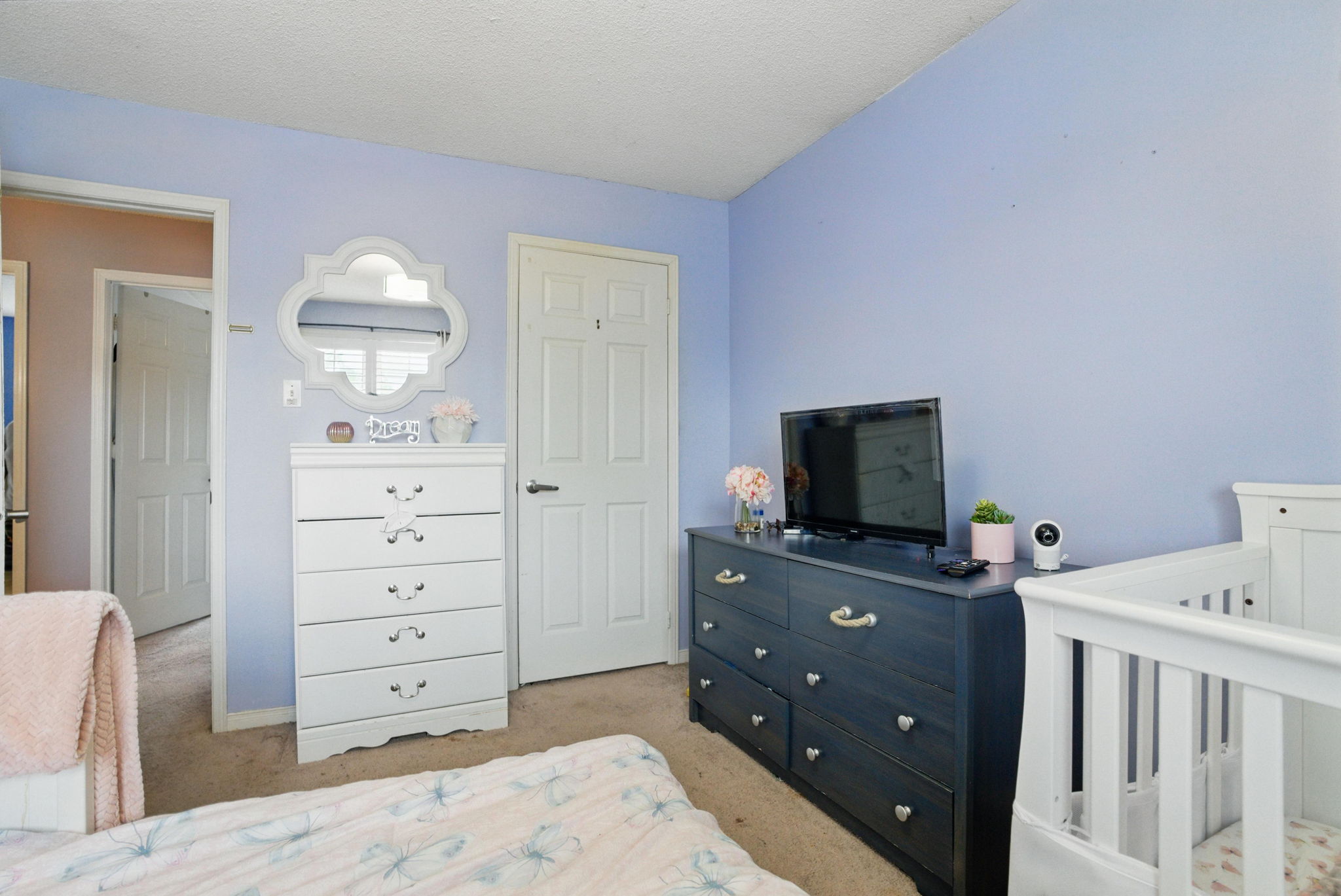  Photo 47