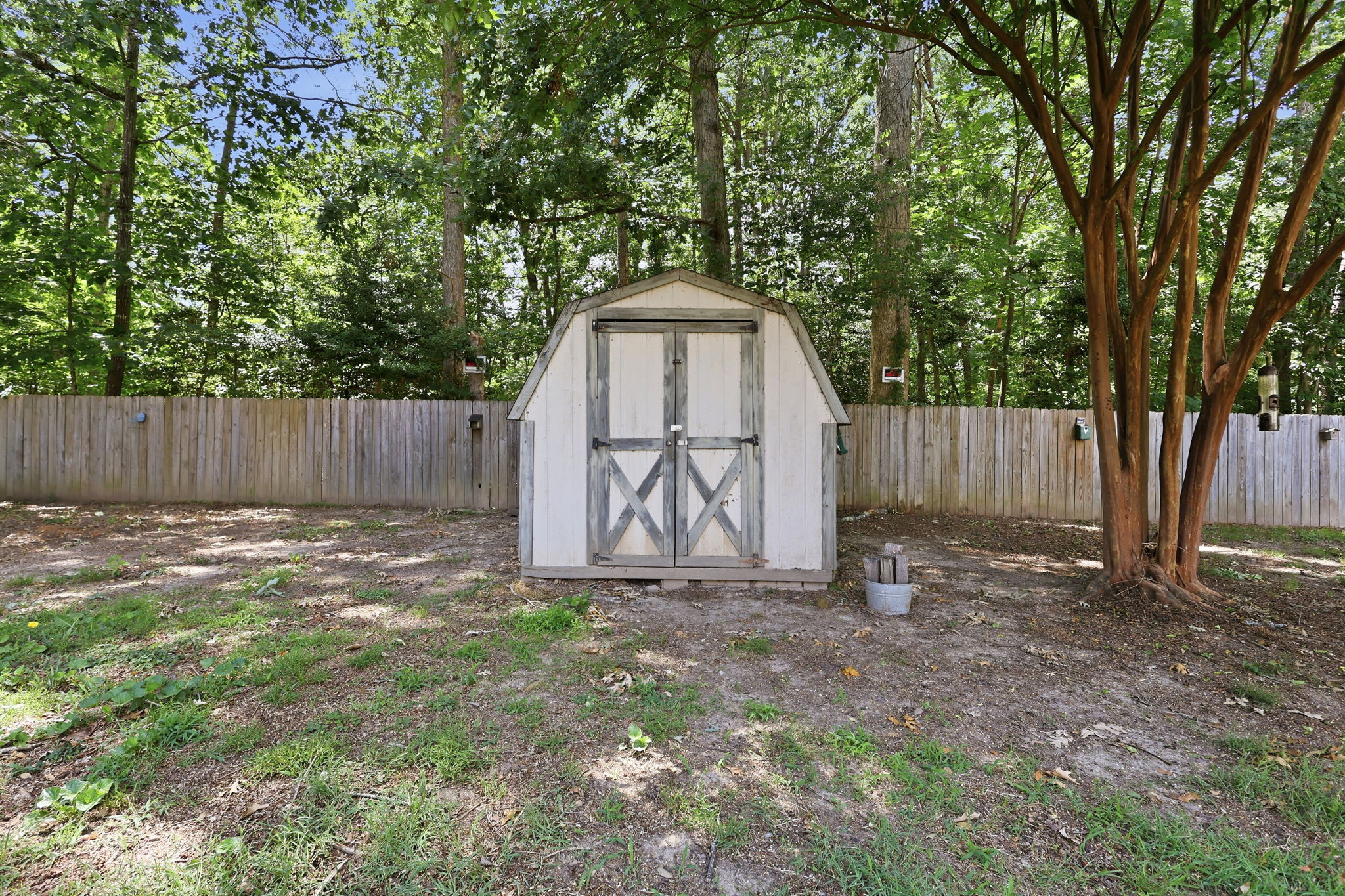 Shed in back yard