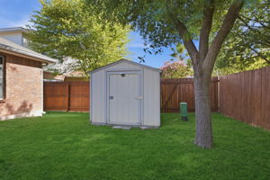  Photo 41
