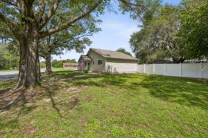 Front Yard