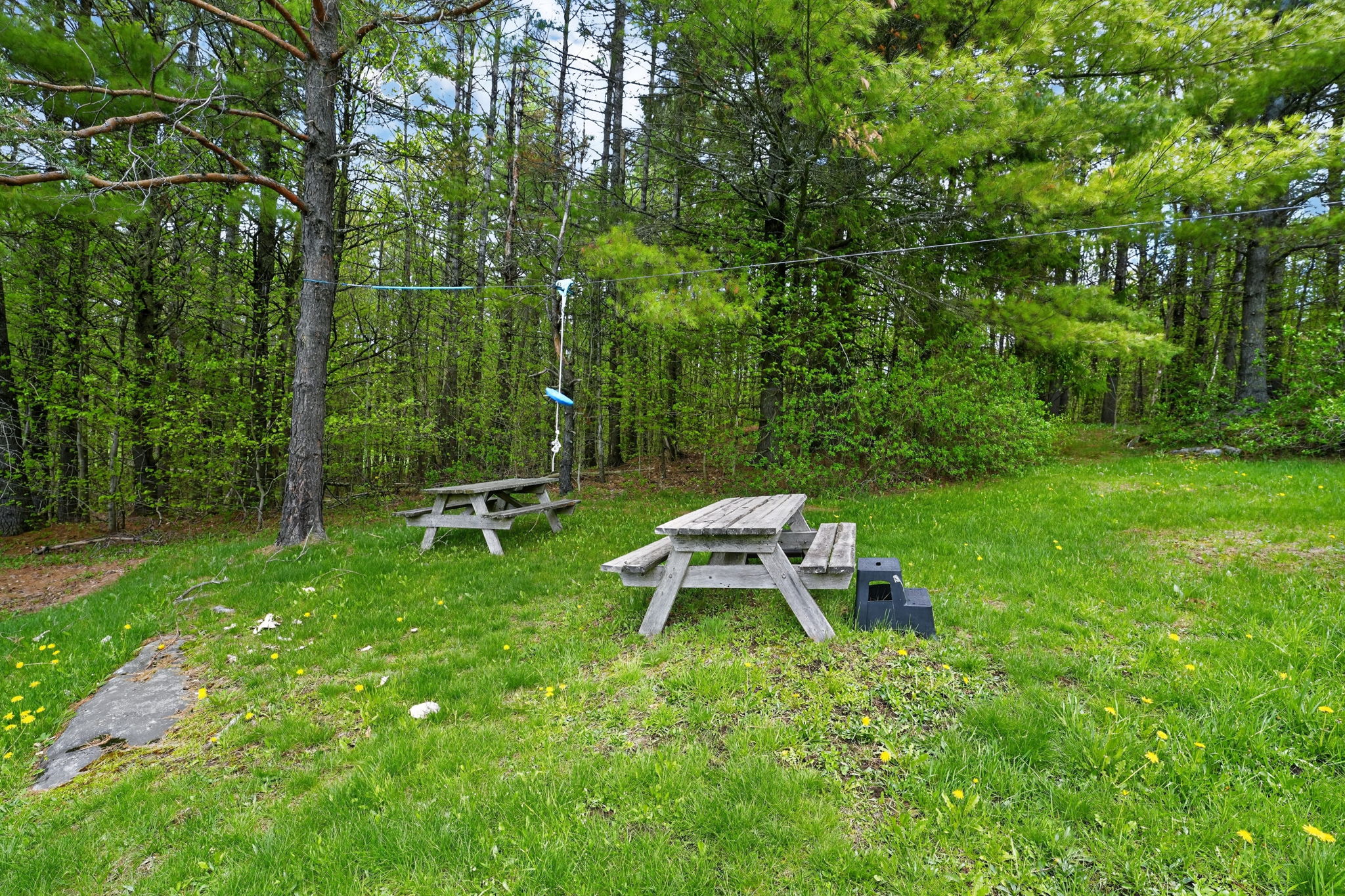  Photo 45