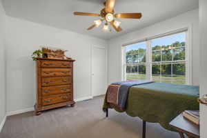  Photo 47