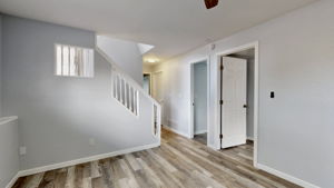 Lower Level Family Room